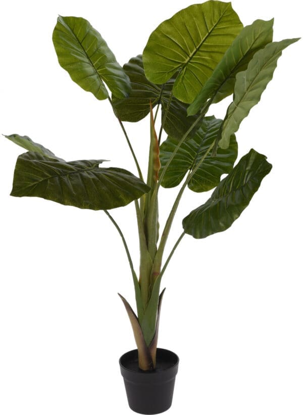 Planta PHILO 110cm