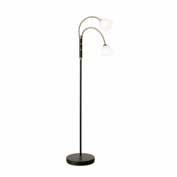 749447-lucid-led-2-arm-floor-lam.png