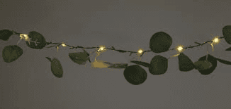 images (10).png