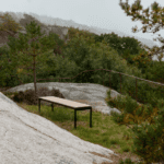 230907_TRADITION_ANDERSENVOLL_03.png
